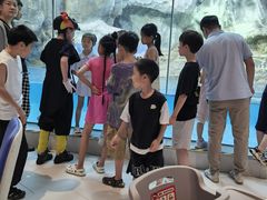 -帝企鹅自助餐厅•儿童岛•真企鹅(长隆企鹅酒店)