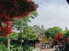 -枫桥景区