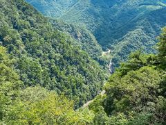 -东天目山风景区