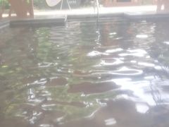 -碧水湾温泉
