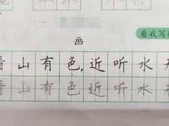 -赵汝飞练字硬笔书法(博泰国际校区)