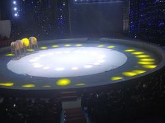 -兴芮温泉度假区