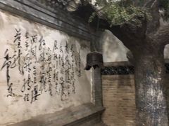 -白洋淀景区