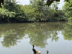 -荔江湾景区