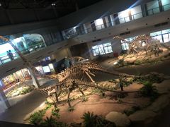 -自贡恐龙博物馆