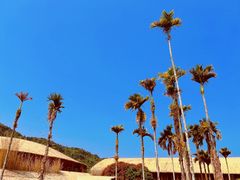 -海南槟榔谷黎苗文化旅游区
