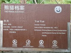 -都江堰中华大熊猫苑