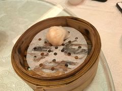 悦湖玉液虾饺皇-悦湖公馆