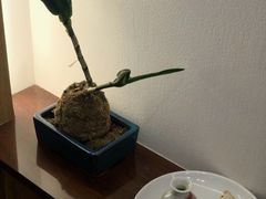-彬媽糖水(万象天地店)