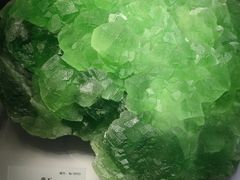 -湖南省地质博物馆