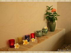 SPA-飞鱼&摩娜潜水度假村