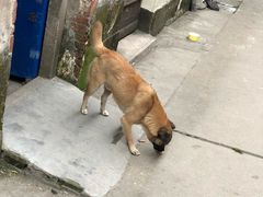 -邱记私房菜·十八年本地菜