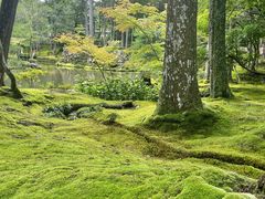 -西芳寺(苔寺)