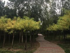 -河北省园博园