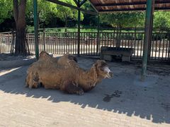 -无锡动物园·太湖欢乐园