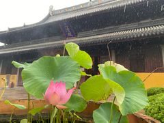 -SFC上影百联影城(八佰伴IMAX店)