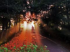 -艾溪湖湿地公园