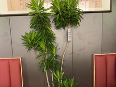 -沼津港精致料理·寿喜烧·烧鸟(龙湖南桥天街日料榜单店)