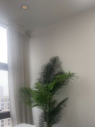 -张小野·专业半永久纹眉