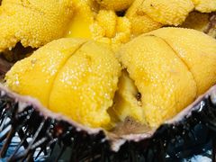 海胆-桂马·日本料理·海胆·海鲜饭·酒场(民主广场店)