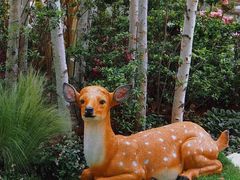 -上海共青森林公园