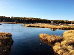 -塞罕坝国家级自然保护区