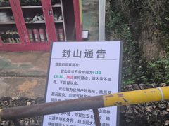 -杨梅坑