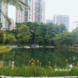 城市中的园林-四海公园