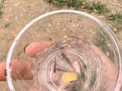 -天河潭旅游度假区