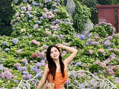-天适樱花悠乐园