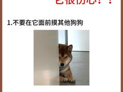 -美联众合动物医院·24h转诊中心