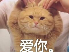 -螺小胖柳州螺蛳粉(钟楼总店)