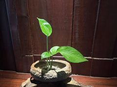 -足本纪·足道 SPA 简餐 小吃(文三西路店)