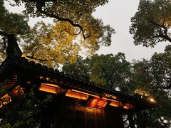 -杭州西湖柳莺里酒店