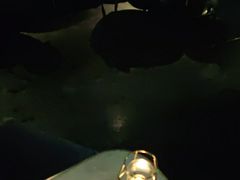 -STARRY CAFE & LOUNGE BAR(高新店)