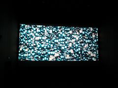 -汉阳天河电影城(王家湾店)