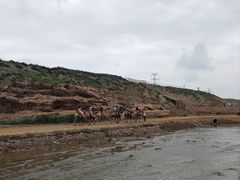 -水洞沟旅游区