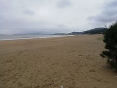 -普陀山风景名胜区-法雨禅寺