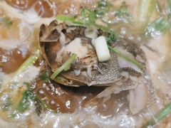 -鲜鲜·鲅鱼圈海鲜(于洪店)