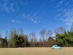 -金谷域澳洲庄园