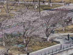 -西北湖绿化广场