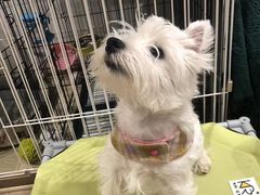 -上海小南国(国发店)