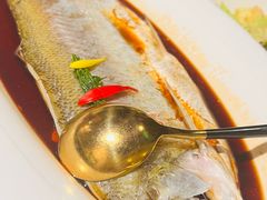 -醉庐·新上海菜(南京西路店)