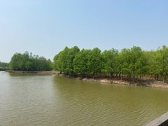 -上海海湾国家森林公园