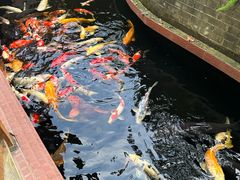 -侠成水上农庄(工业大道店)