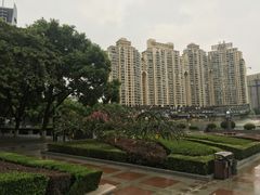 -西北湖绿化广场