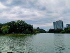 -雀儿山公园