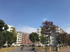 -扬州大学(扬子津校区)