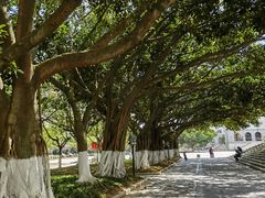 -厦门大学(思明校区)