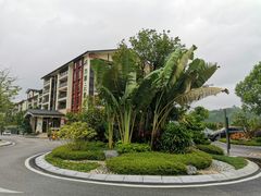 -品泉餐厅·大盆鱼·走地鸡